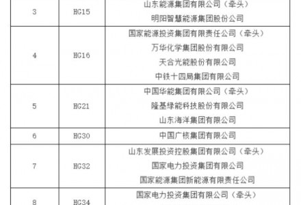 国家电投、国家能源集团等牵头！山东11.25GW海上光伏项目投资企业中标公示