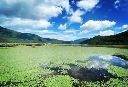 锦浪科技：光伏逆变器龙头的产能焦虑与野望