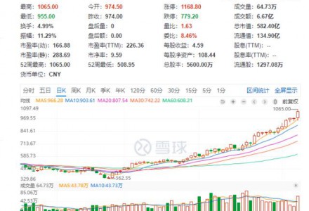 掘金新三板之汇能精电：太阳能控制器细分龙头，微型逆变器业务大增