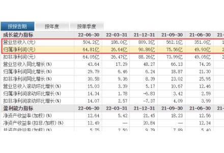 中报见喜！4000亿“光伏茅”却暗藏隐忧？